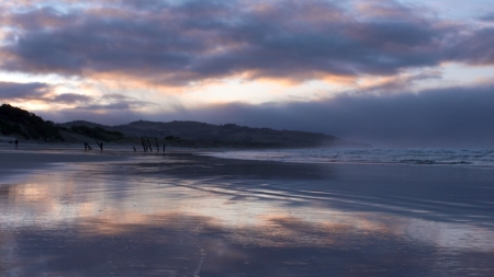« Invitation au voyage » du 4 janvier : « Janet Frame, un ange à la table néo-zélandaise ».