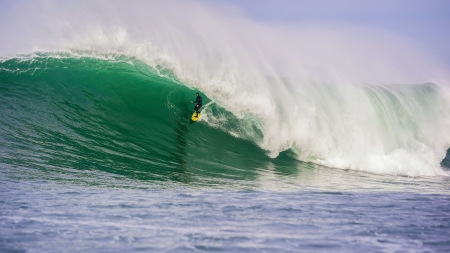 Savage Waters - Taz Knight Surfing (Green Wave)