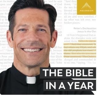 The Bibile in a year