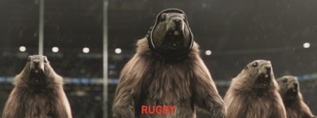 Les marmottes sportives