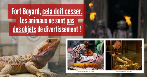 Capture d'écran